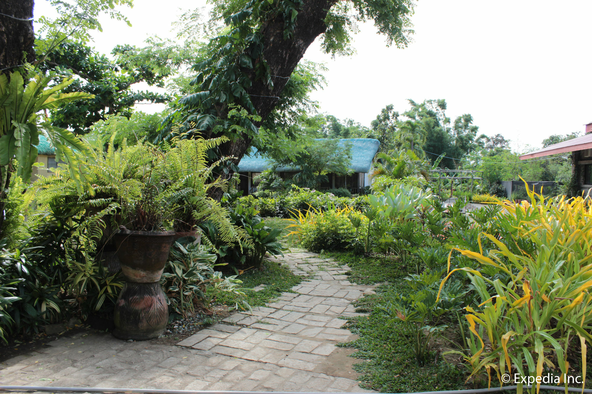 Reddoorz Plus Near Vigan Convention Center Hotel Exterior photo